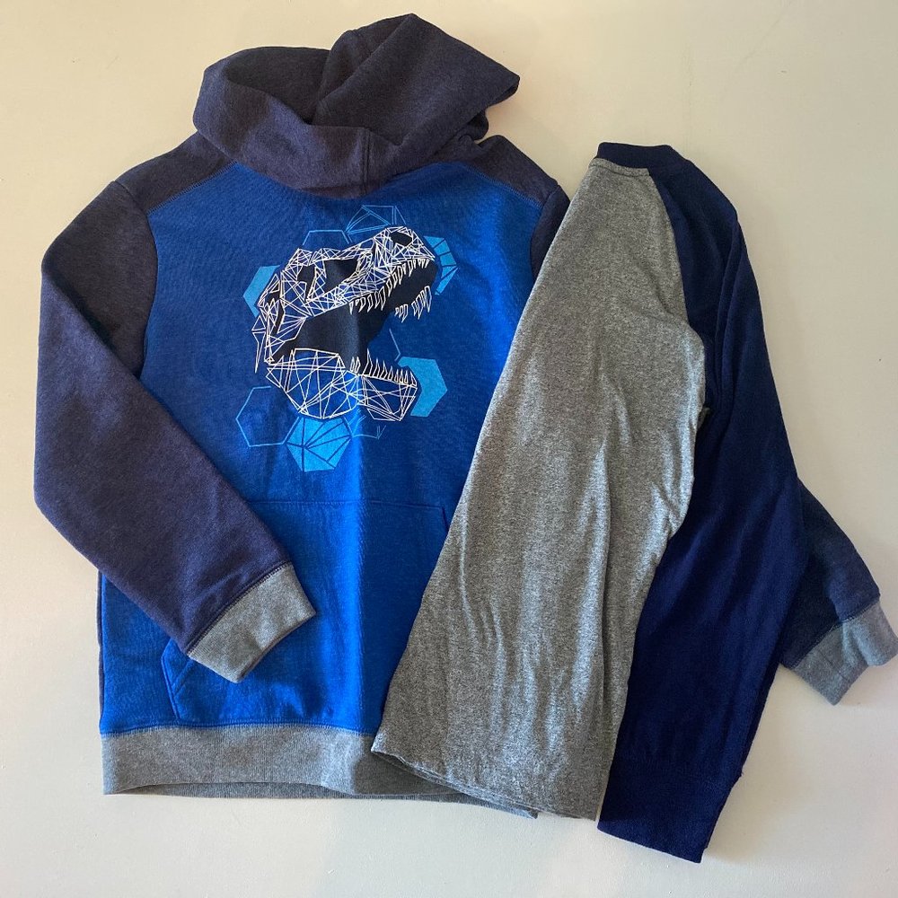 2Pc Cat & Jack Hoodie Long Sleeve Raglan Tee Dino